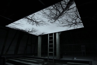 Vanished Tree - Barn / 2013